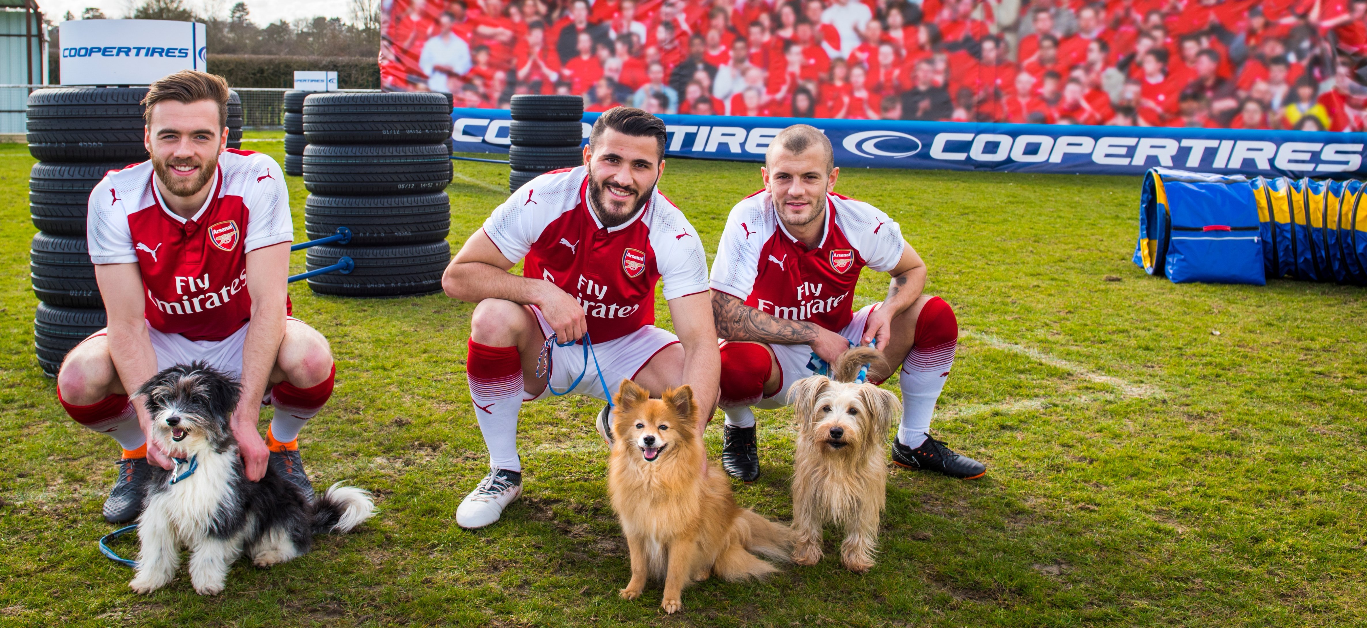 FC Arsenal haben tierischen Spaß beim Hunde-Trainingsparcours