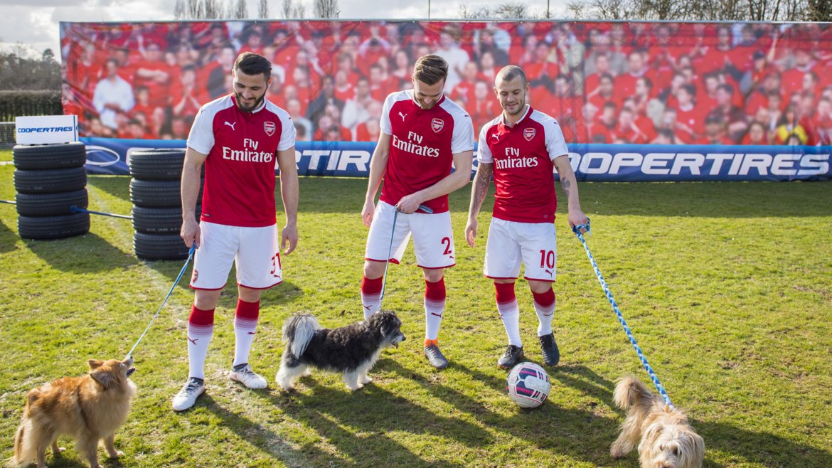 arsenalcoopertiresdogs_16edit.jpg