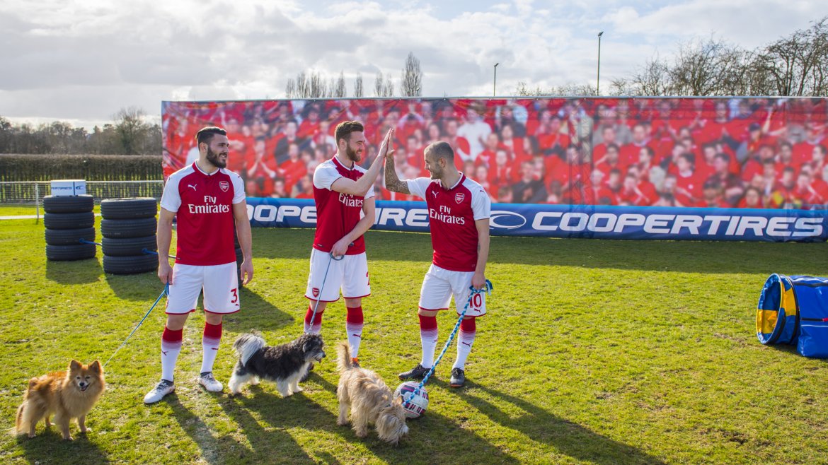 arsenalcoopertiresdogs_14edit.jpg