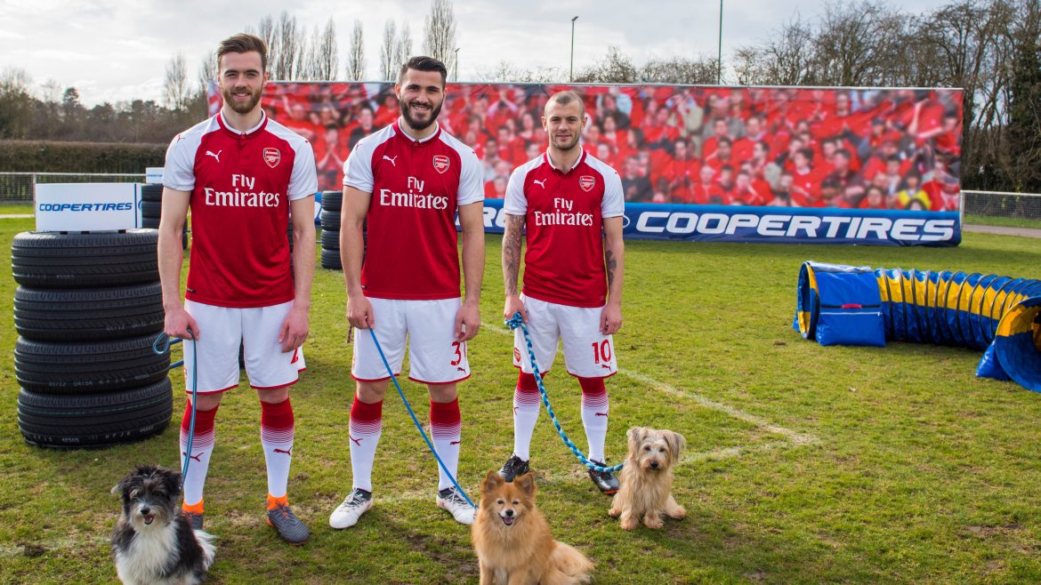 arsenalcoopertiresdogs_1edit (2).jpg