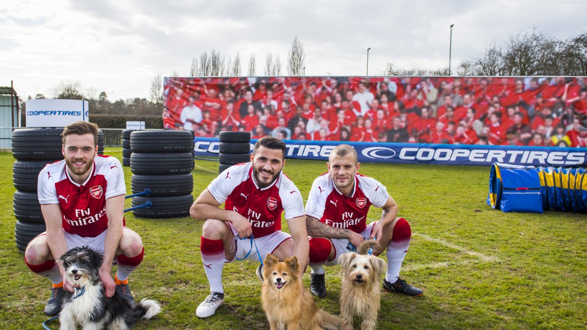 arsenalcoopertiresdogs_5edit.jpg
