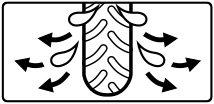 EAF Pattern